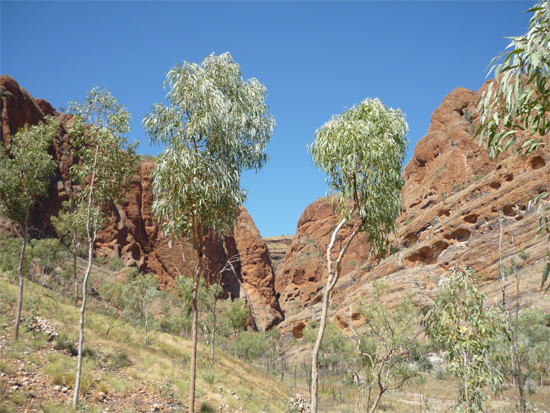 Echidna Chasm