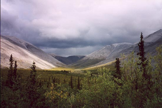 Tombstone Park