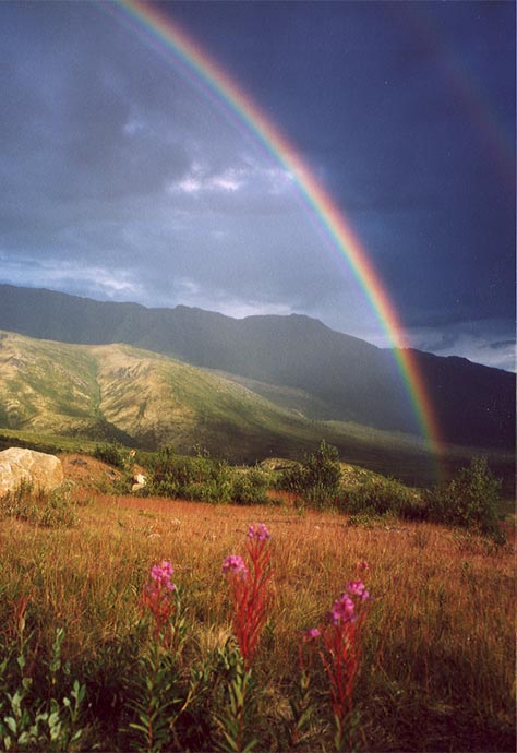 Tombstone Park